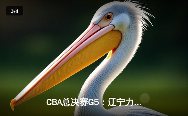 CBA总决赛G5：辽宁力克广东成功卫冕，赵继伟荣膺FMVP - 3